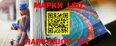 стаф Дубна