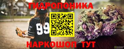 индика Гусев