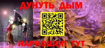 индика Гусев